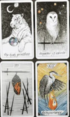 cartes tarot thème animaux
