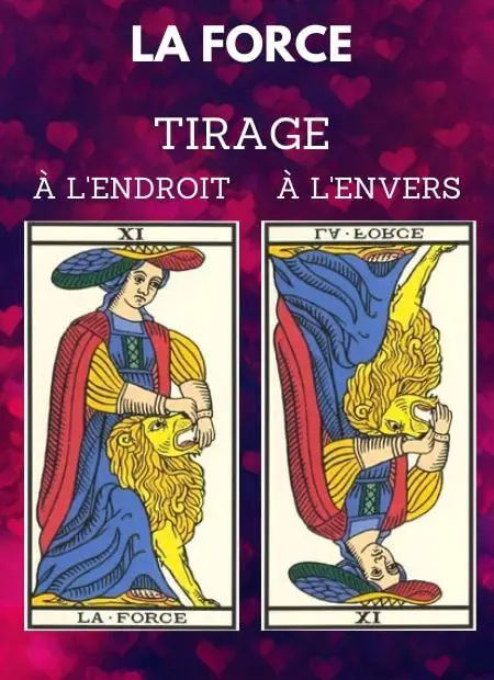 tarot gratuit carte la force tarot de marseille Amour