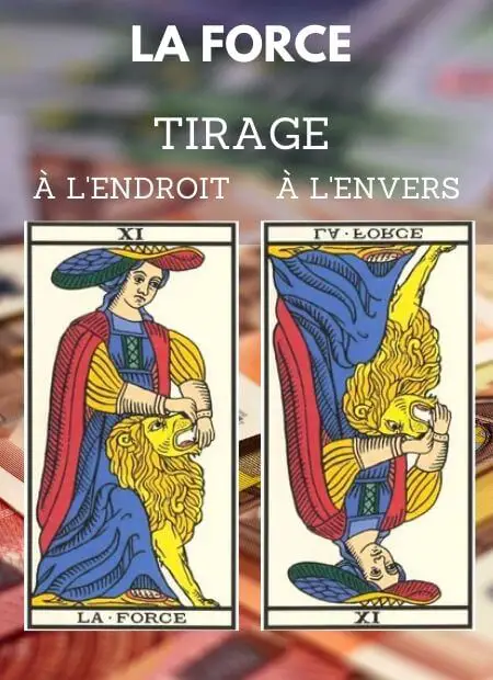 tarot gratuit carte la force tarot de marseille Argent