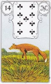 14 renard petit lenormand