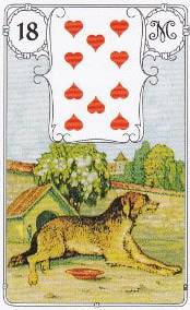 18 chien petit lenormand