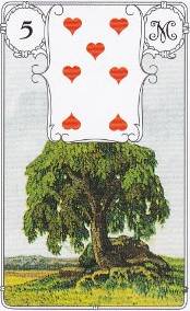 5 arbre petit lenormand