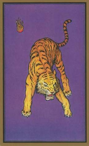 Le tigre tarot persan