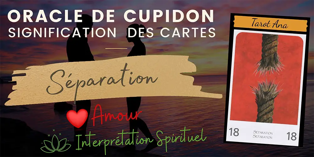 18 separation oracle amour