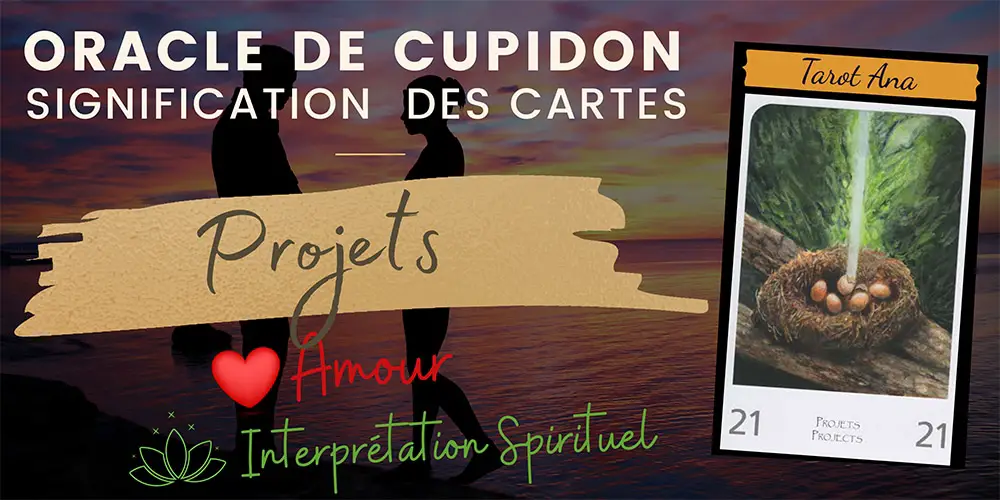 21 projets oracle amour