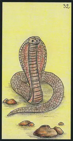 32 le serpent oracle ge