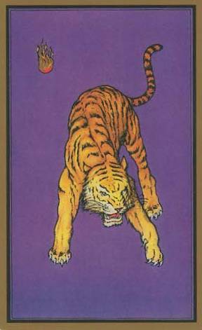 Le tigre tarot persan 1