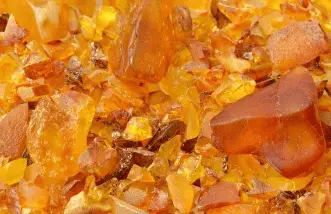 diverses ambre