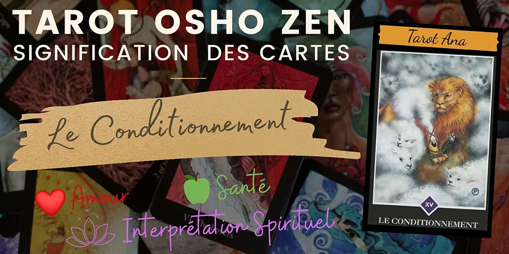 15 le conditionnement osho zen